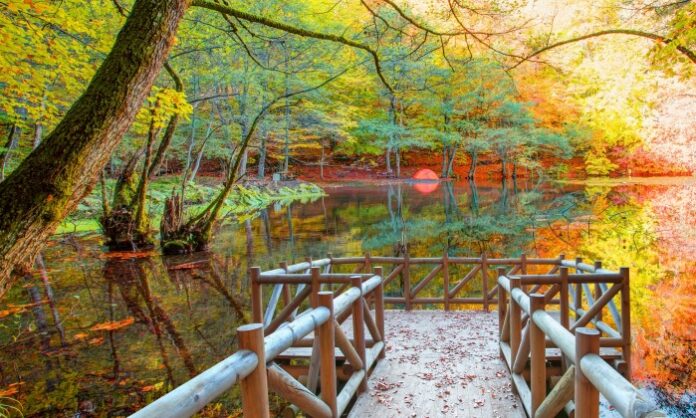 Autumn,Forest,Landscape,Reflection,On,The,Water,With,Wooden,Pier Fotoğraf çekilecek yerler.